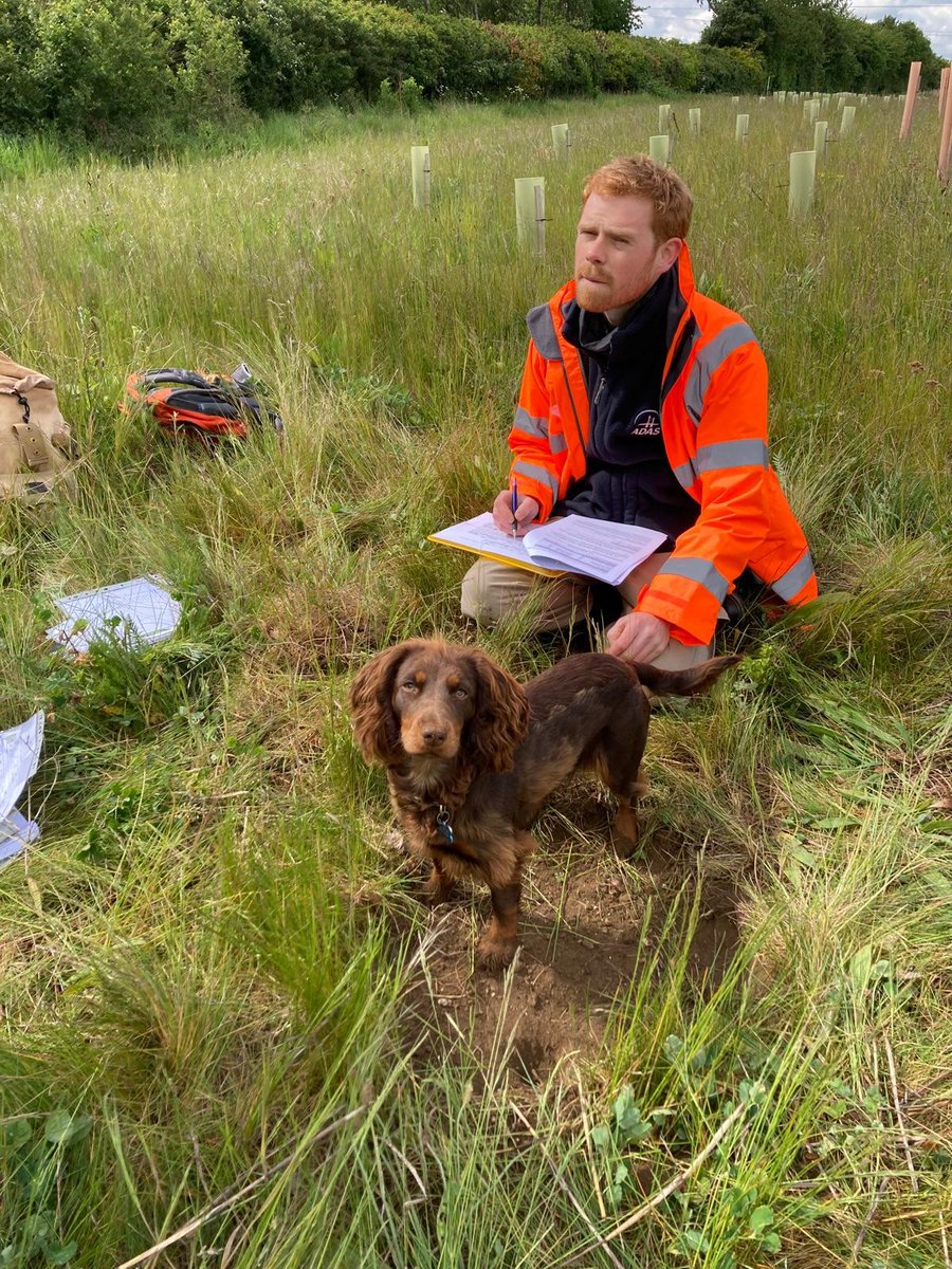 British Society of Soil Science tweet media