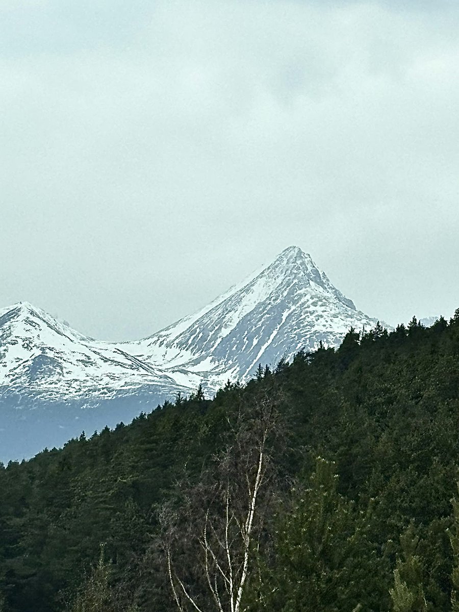RilianTech's tweet photo. The mission doesn't change. Our reach does. Our Director of Operations, Boris Fugger met with Jan Racko, CEO of Cogniware, the Tatras Region of Slovakia for a conversation about national security, critical infrastructure, and where Rilian's agentic AI fits in Central Europe.

@borisfugger @cogniware
