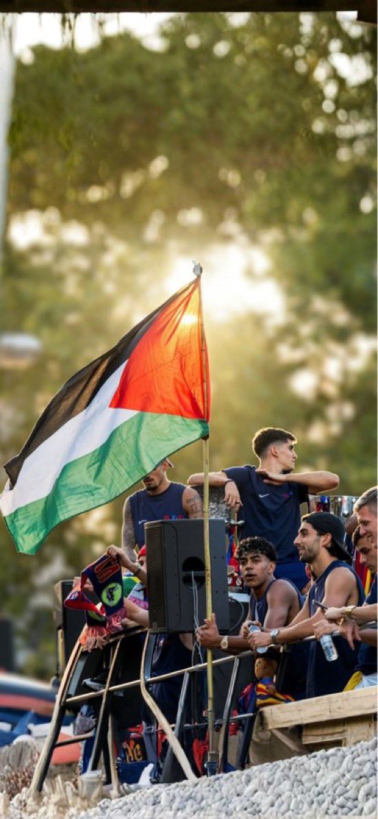 The Palestinian tweet media