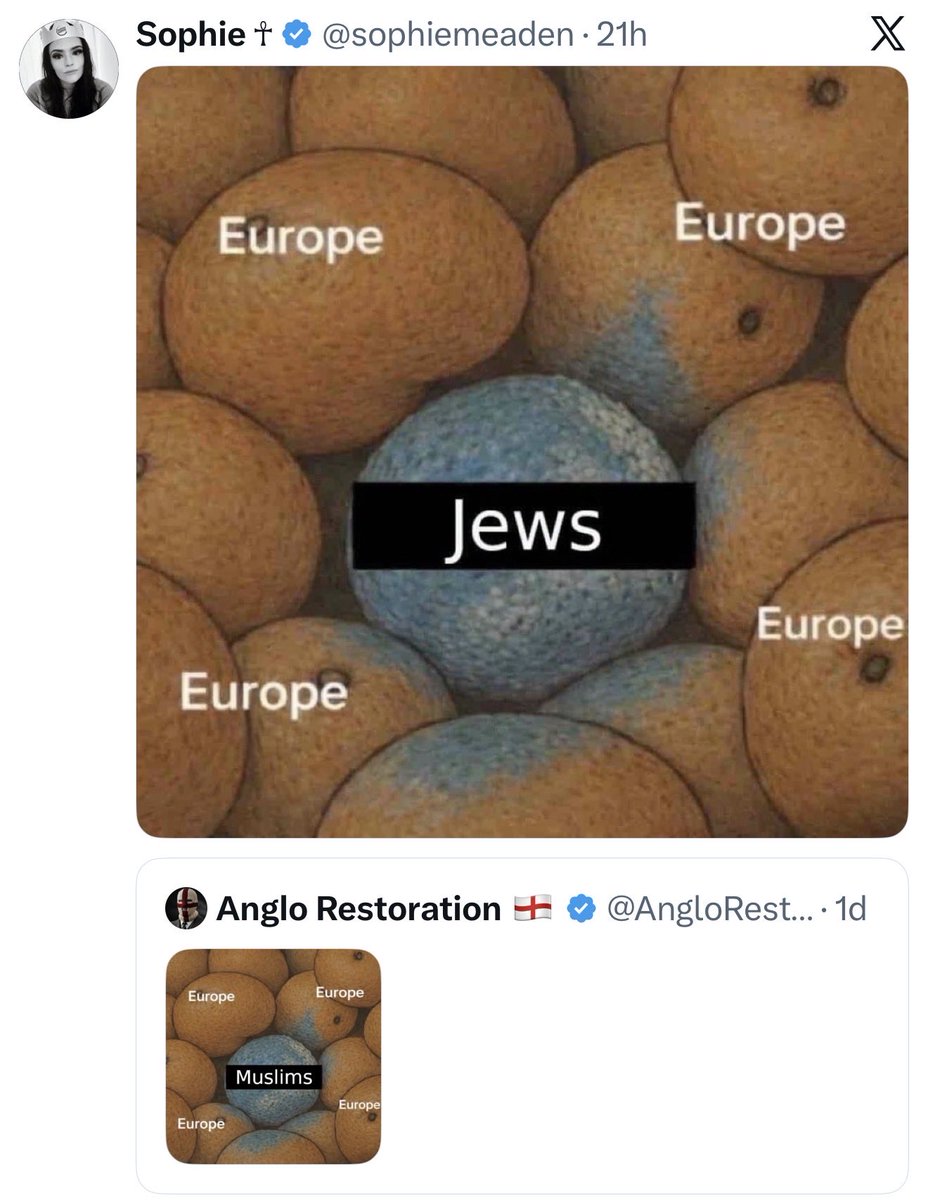 Conspiracy Bullshit tweet media