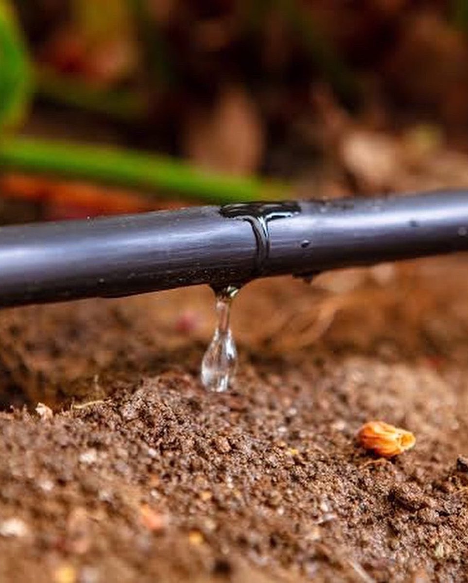 bhelkys's tweet photo. Dear Farmer,

Smart Agriculture is 👇🏾

When you utilize technology and innovative solutions to achieve sustainable Ag.

For example:
Precision Irrigation
Digital Agriculture
Data in Agriculture
Good Agricultural Practices (GAPs)
Climate Smart Agriculture, etc.

#agrictechsis https://t.co/d4IEAvIN7y