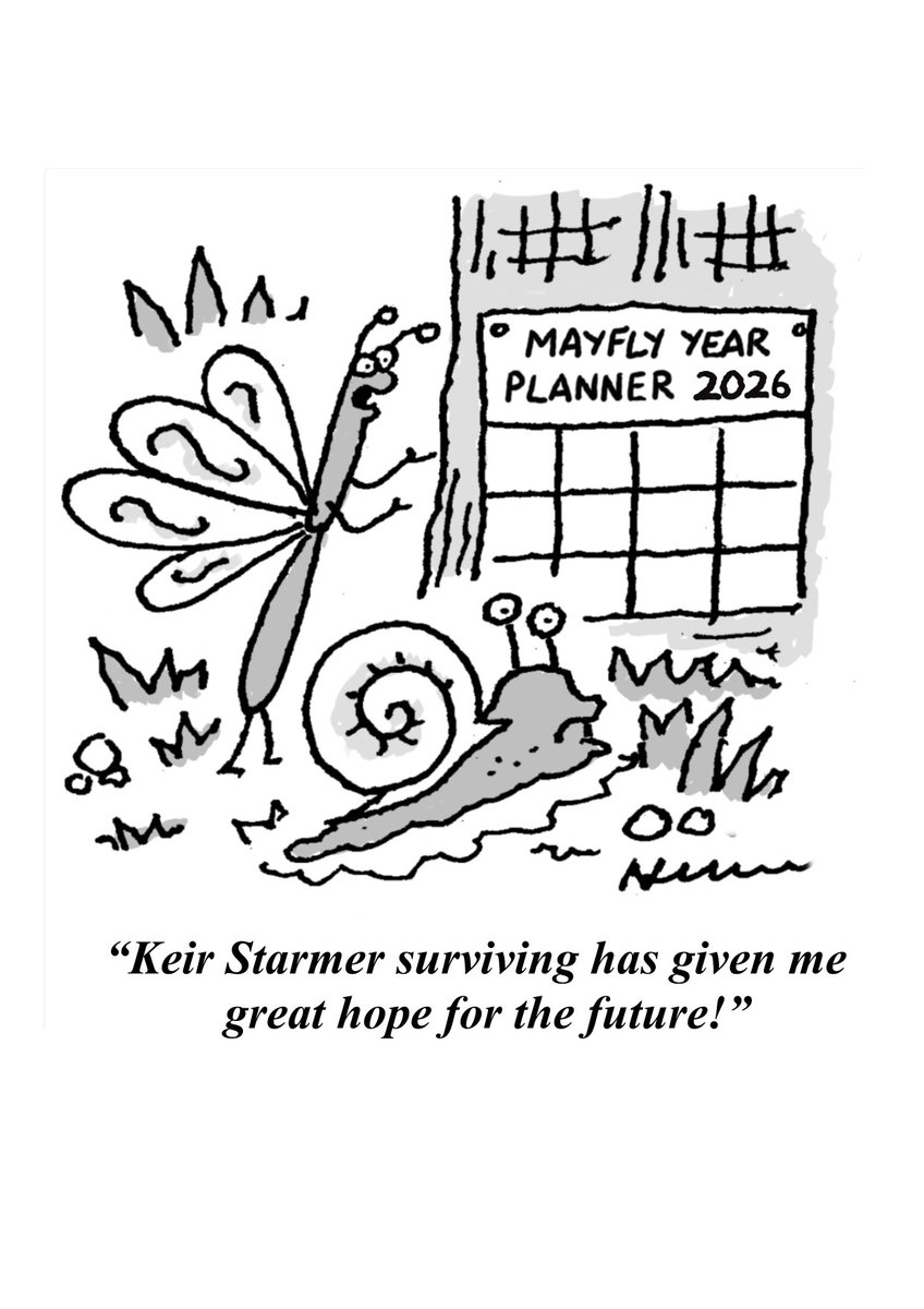 NckNwmntoons's tweet photo. My toon for @Spectator from the New Year now looking prophetic…#mayfly #Starmer https://t.co/tOvM4EqbZN
