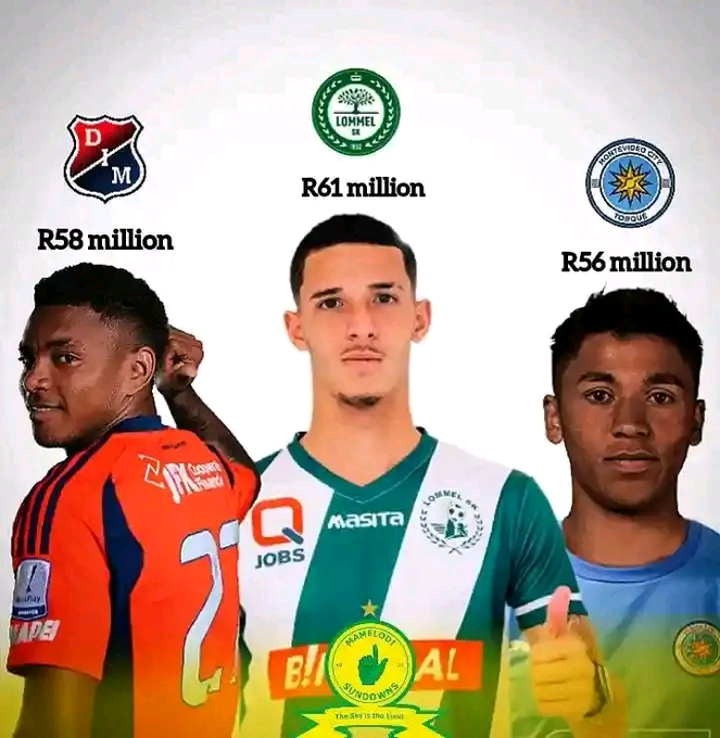 Grootman tweet media