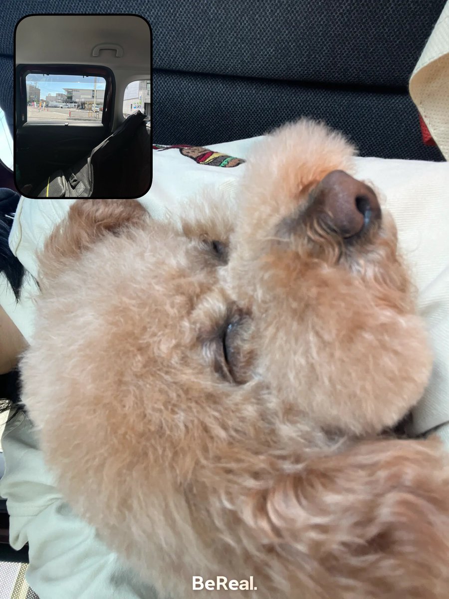 R4PR4S1016's tweet photo. Zzz https://t.co/rVWnoNVRHf