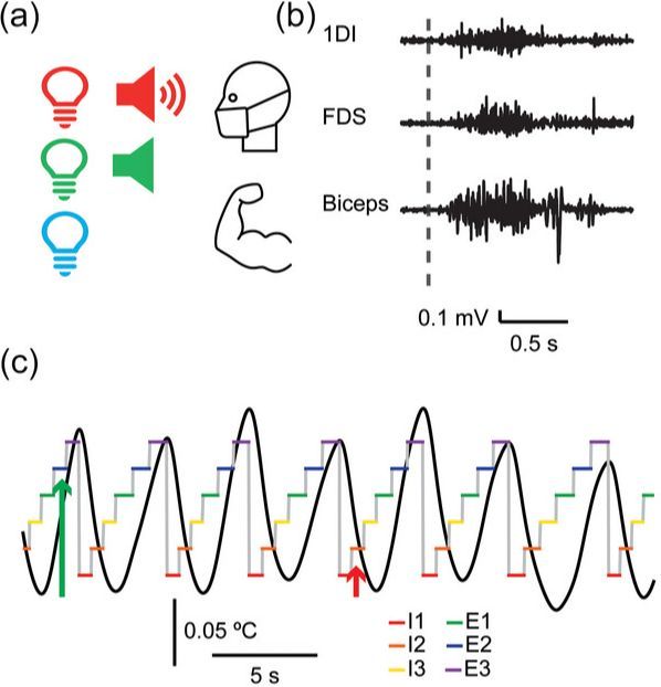 Experimental Physiology tweet media
