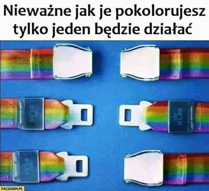 Dzik tweet media