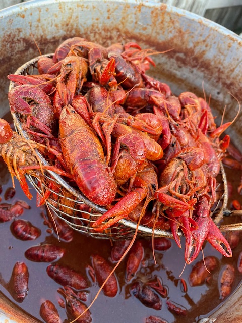 ragincajunhou's tweet photo. Fresh Louisiana Boiled Crawfish.  $38 for 5 Pounds, 2 Corns &amp; 2 Potatoes. 
#crawfish #crawfishseason #boiledcrawfish #houston #springbranch #HTX #ragincajun https://t.co/uDilAJkYEH