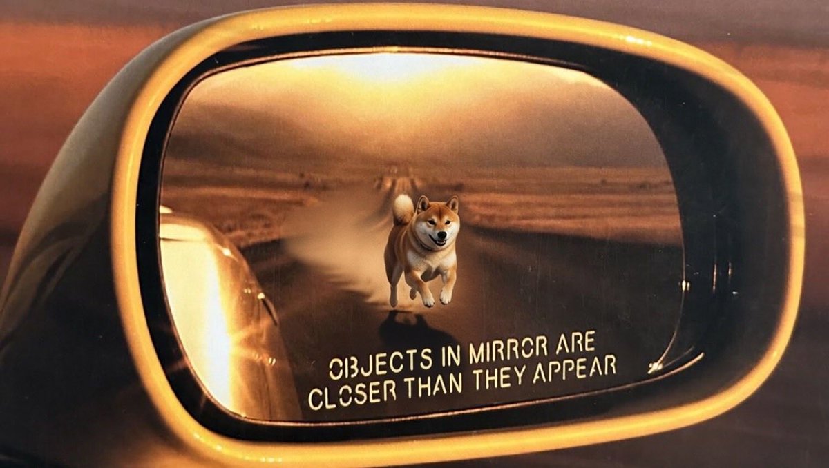 Under Doge (@UnderDoge10) / Posts / X