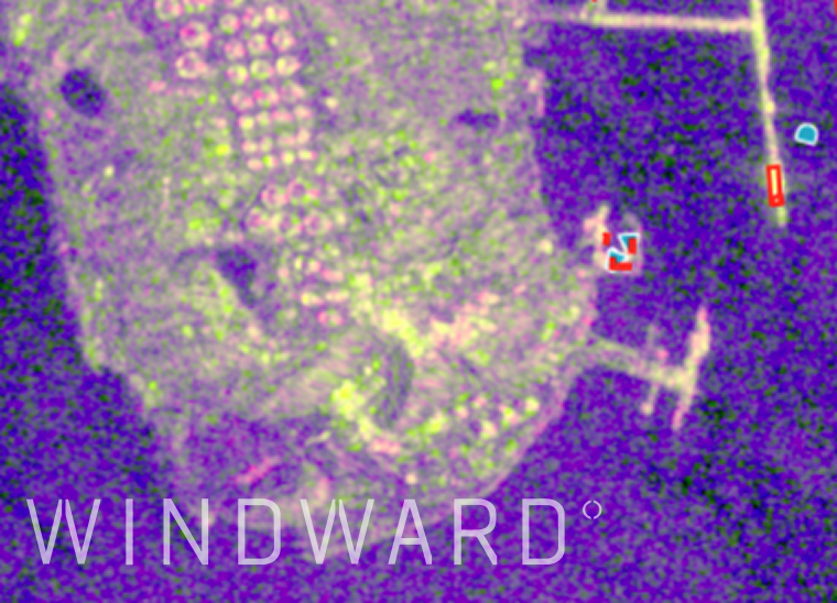 Windward tweet media