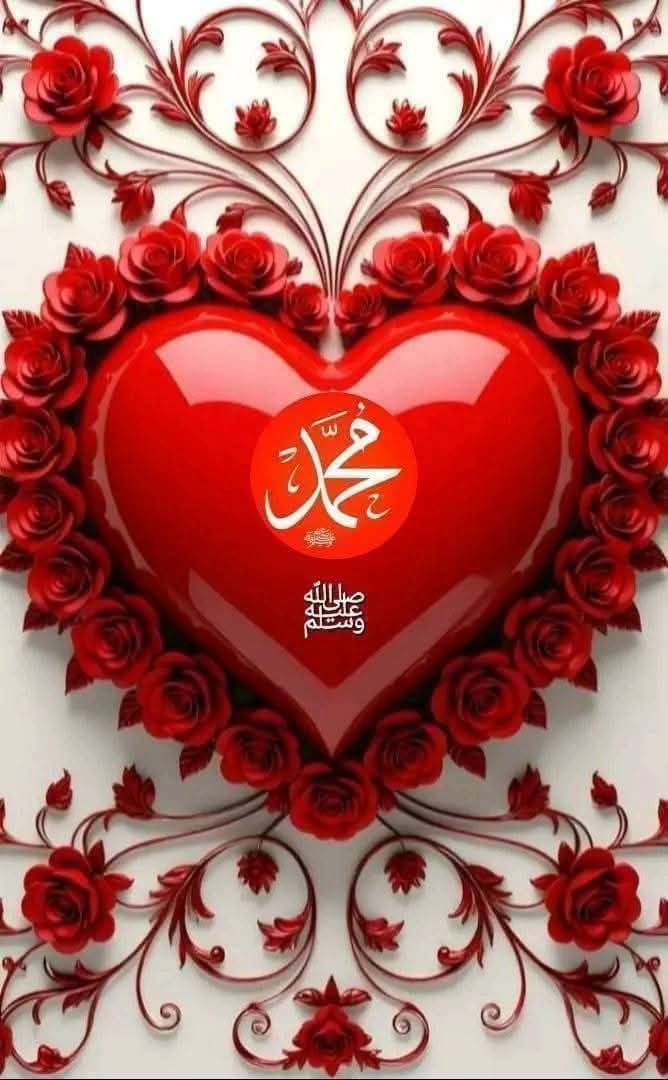 زهرة التيوليب سهي سيف🌷 tweet media