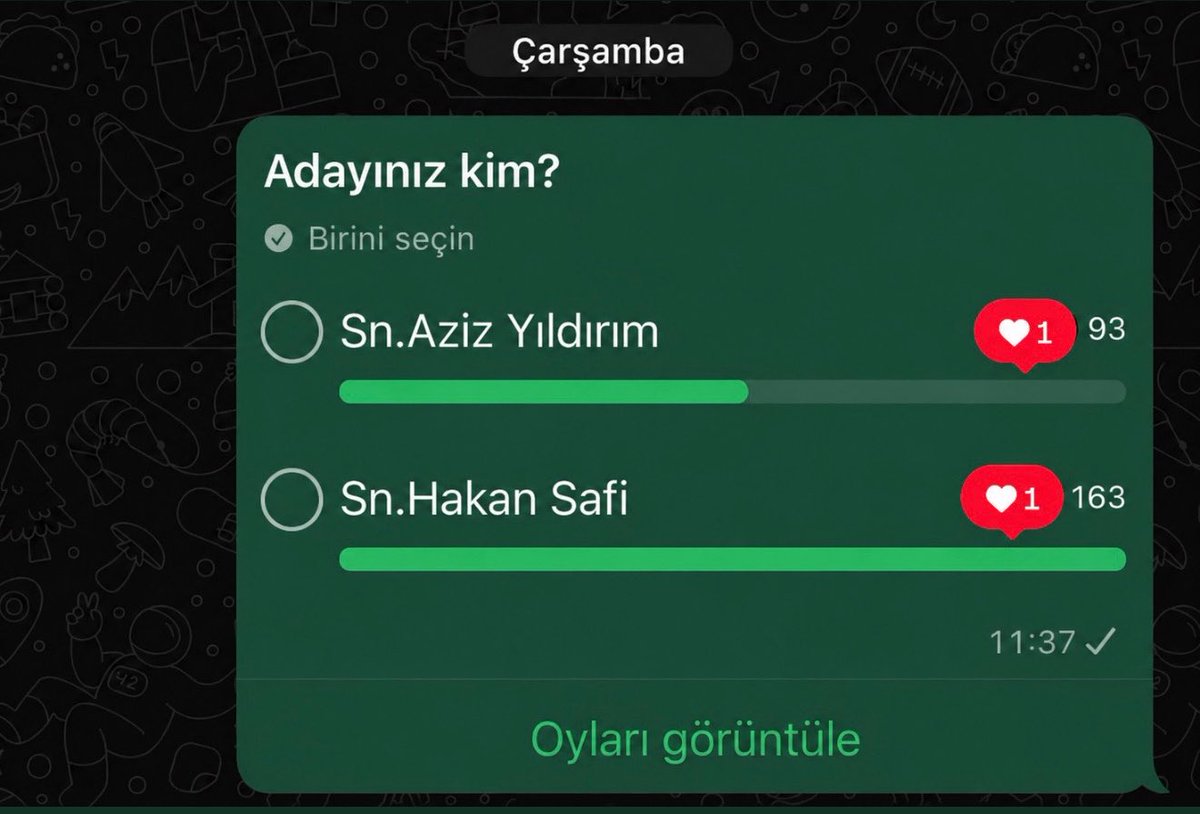 Nurizade Bey tweet media