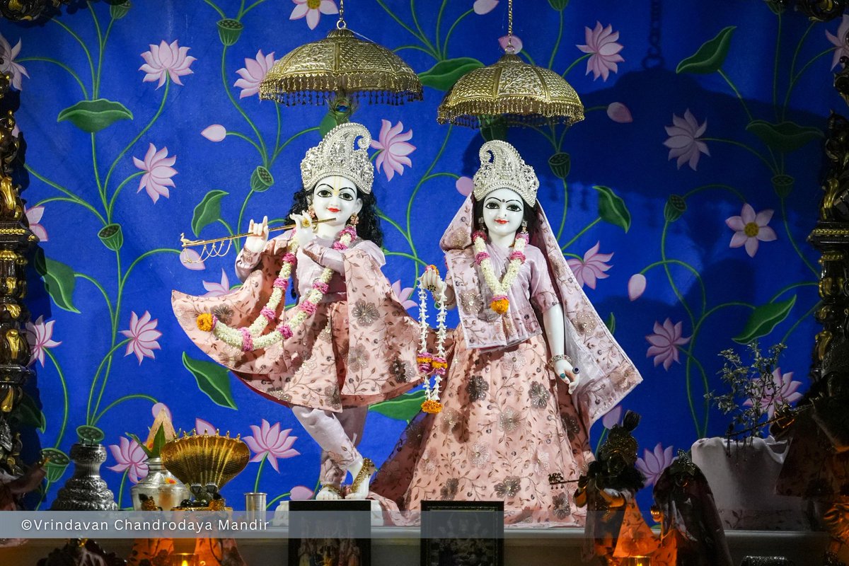 Vrindavan Chandrodaya Mandir tweet media