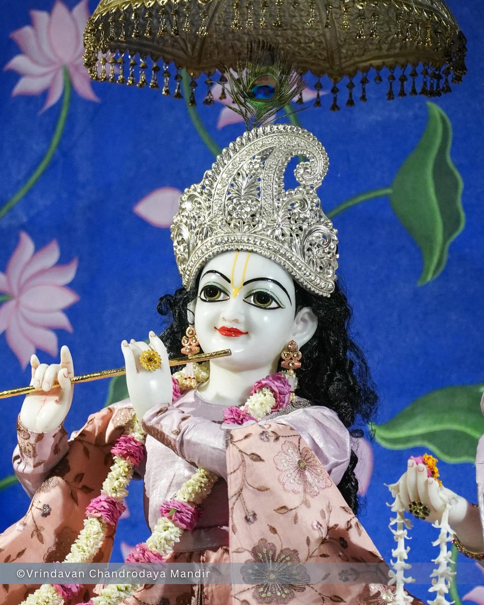Vrindavan Chandrodaya Mandir tweet media