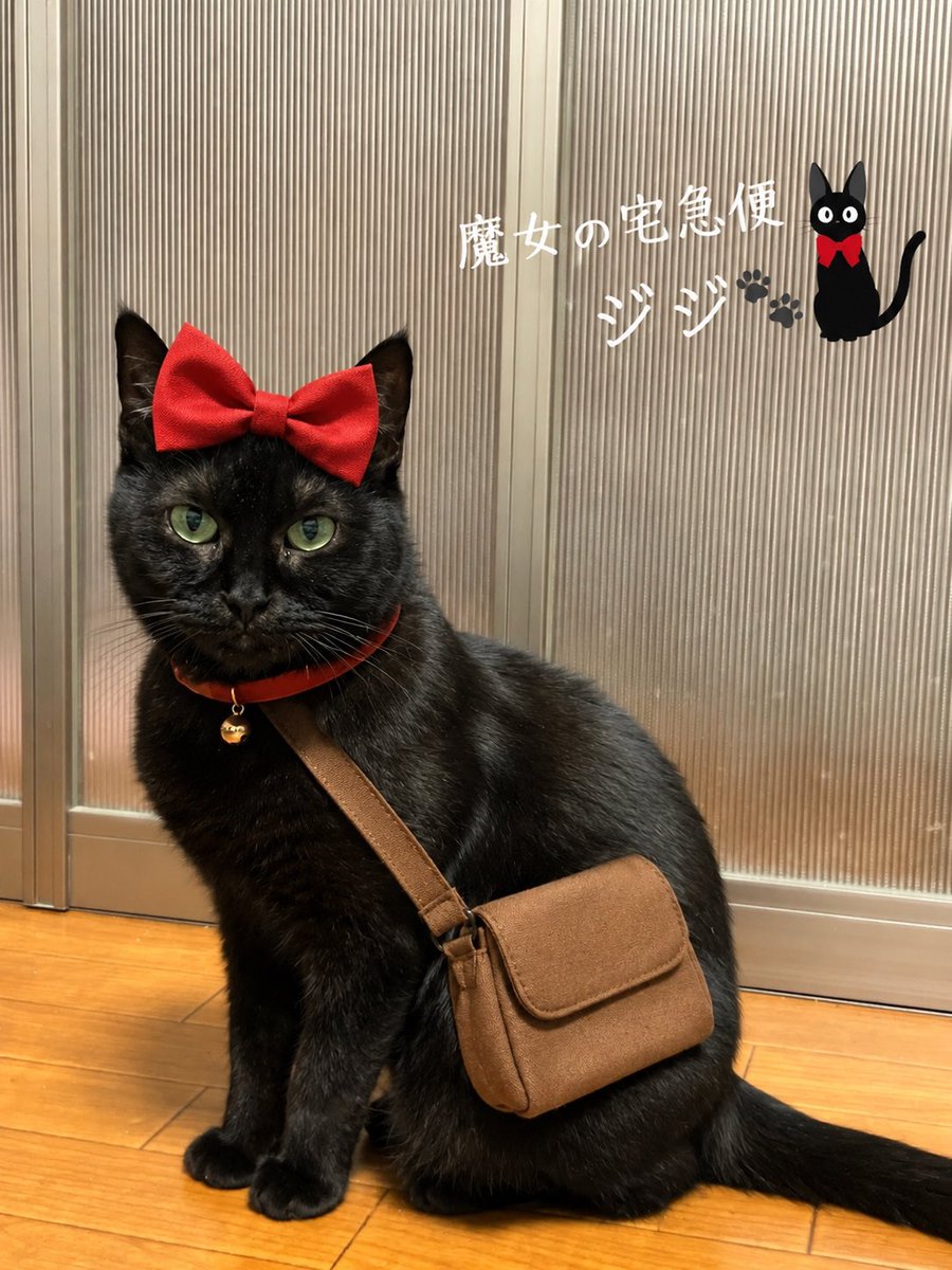 いつか心から笑える日がくるまで。 tweet media