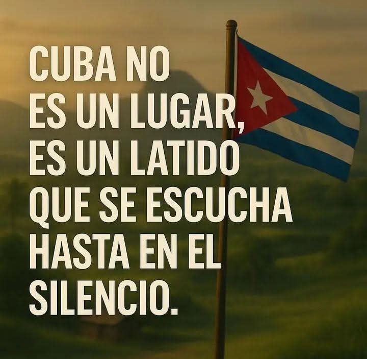 Robertico PP tweet media