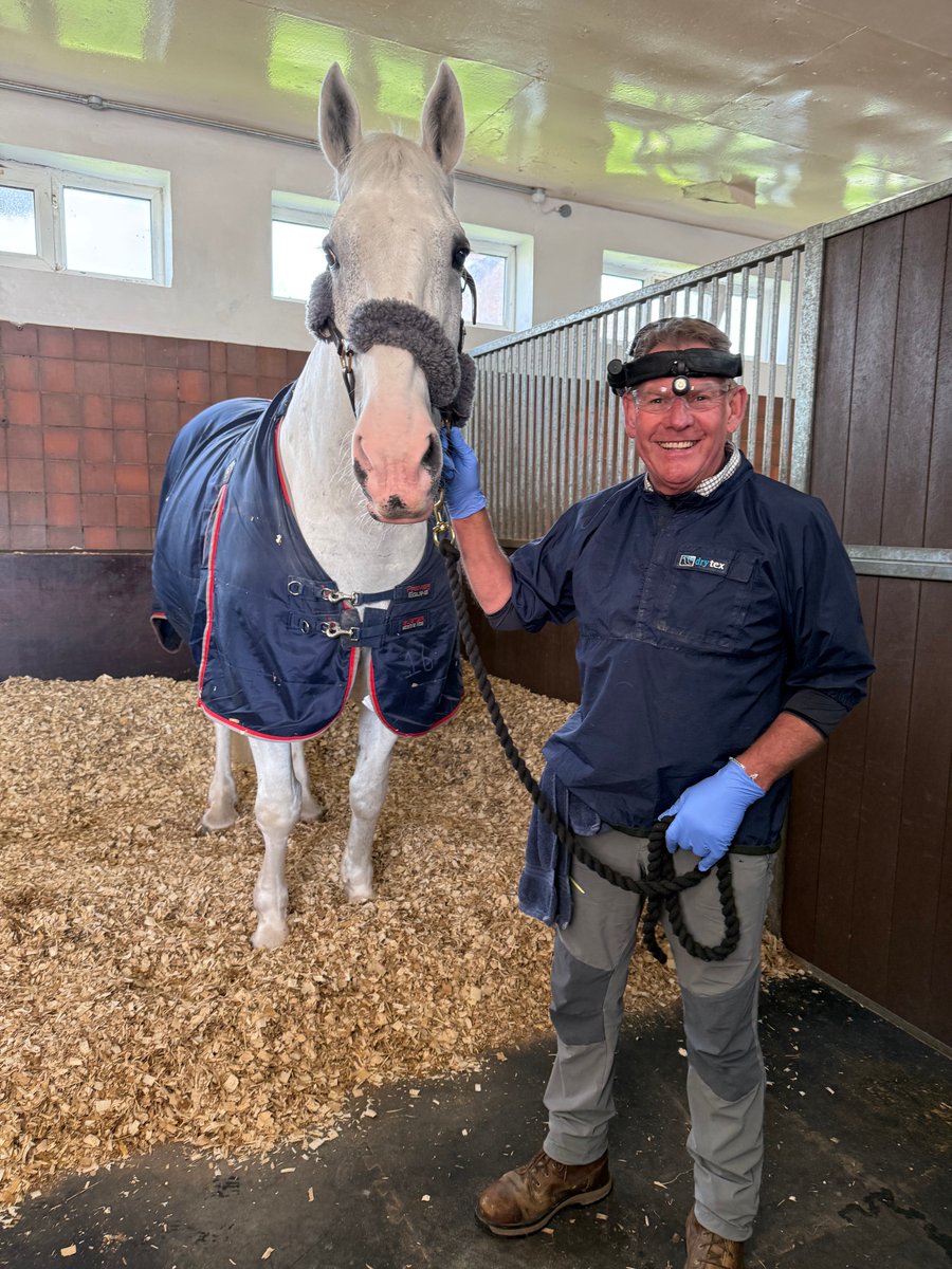 Mer Pol Mounted tweet media