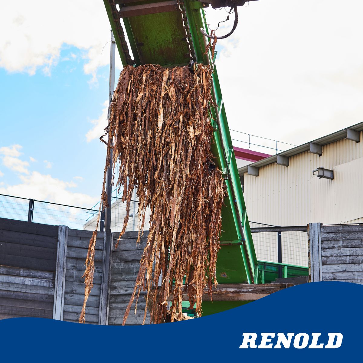 RenoldChain's tweet photo. Renold reliability for biomass and EfW. Across Europe, Renold Chain Europe supports industry leaders with proven chain solutions for demanding biomass and waste to energy plants. Reliable performance where it matters most. Learn more: https://t.co/KpEEYQM4JF https://t.co/Ts50ZjIn81