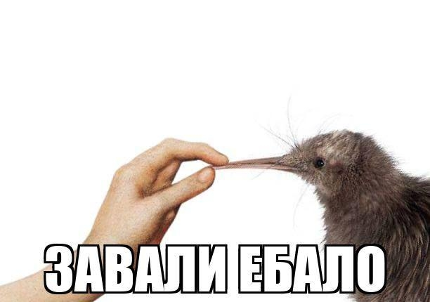 serpentisss's tweet photo. @rrrrrredwest @brolaz0 https://t.co/eEWVAl8hKi