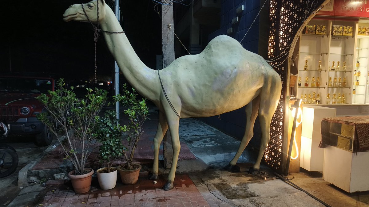 SamR0ck's tweet photo. @GBAChiefComm @bwaditrafficps Looks here they also have a Camel on the Footpath.. just 20 steps away from @bwaditrafficps 

@blrcitytraffic @ChristinMP_ https://t.co/x1TRDakNta