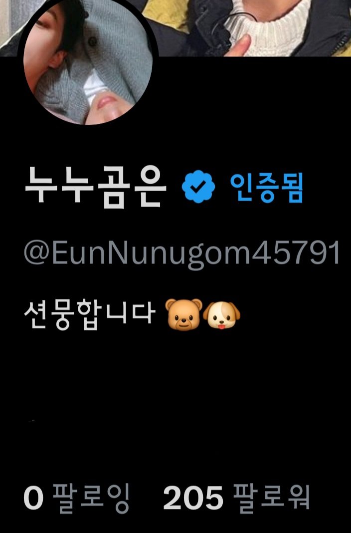 누누곰은 tweet media