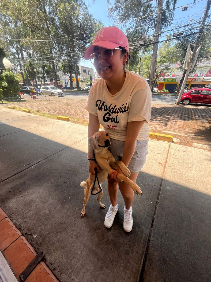 𝙷𝚎𝚕𝚊 𝙼𝚘𝚛𝚎 🐶 tweet media
