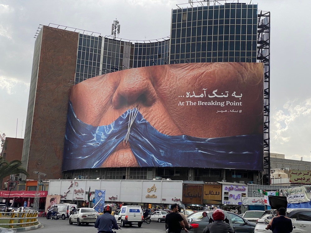 لیدی فیش tweet media