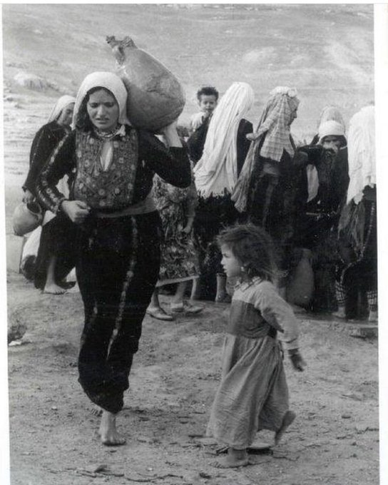Dr. LilyFayed🇵🇸 tweet media