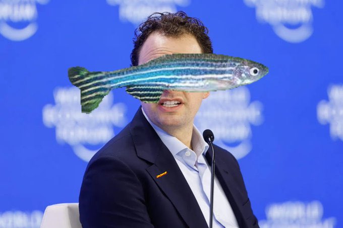 aru tweet media