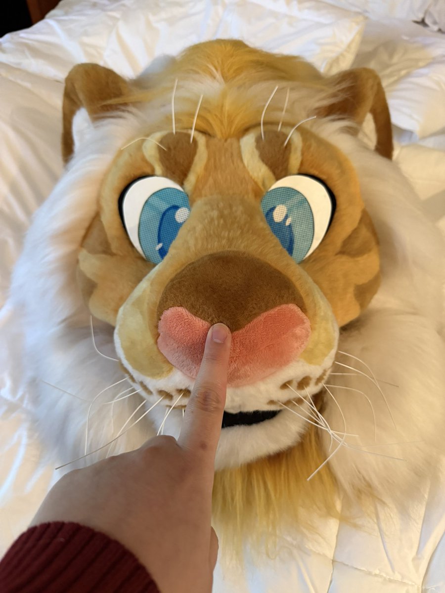 🩵 Jupiter 🔜 FURLANDIA tweet media