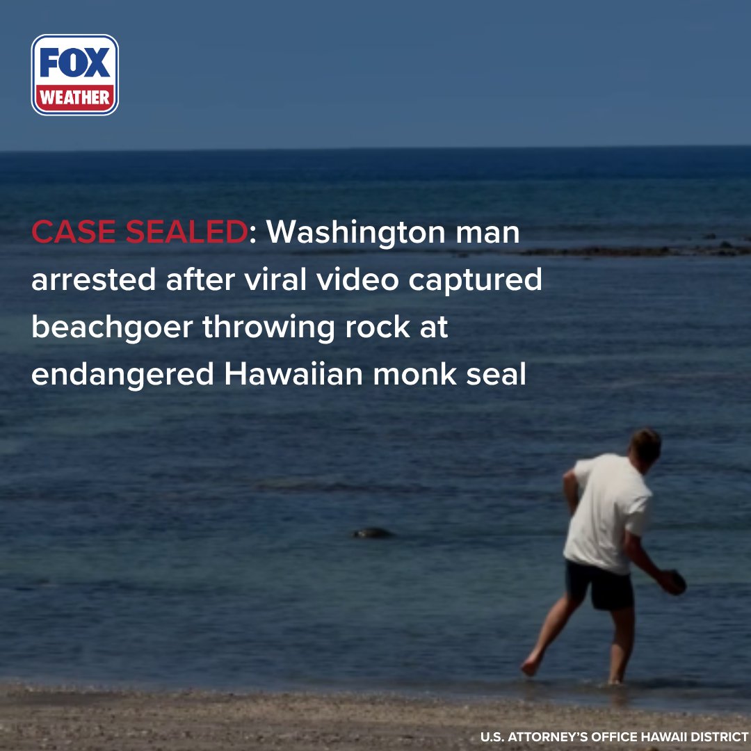 FOX Weather tweet media