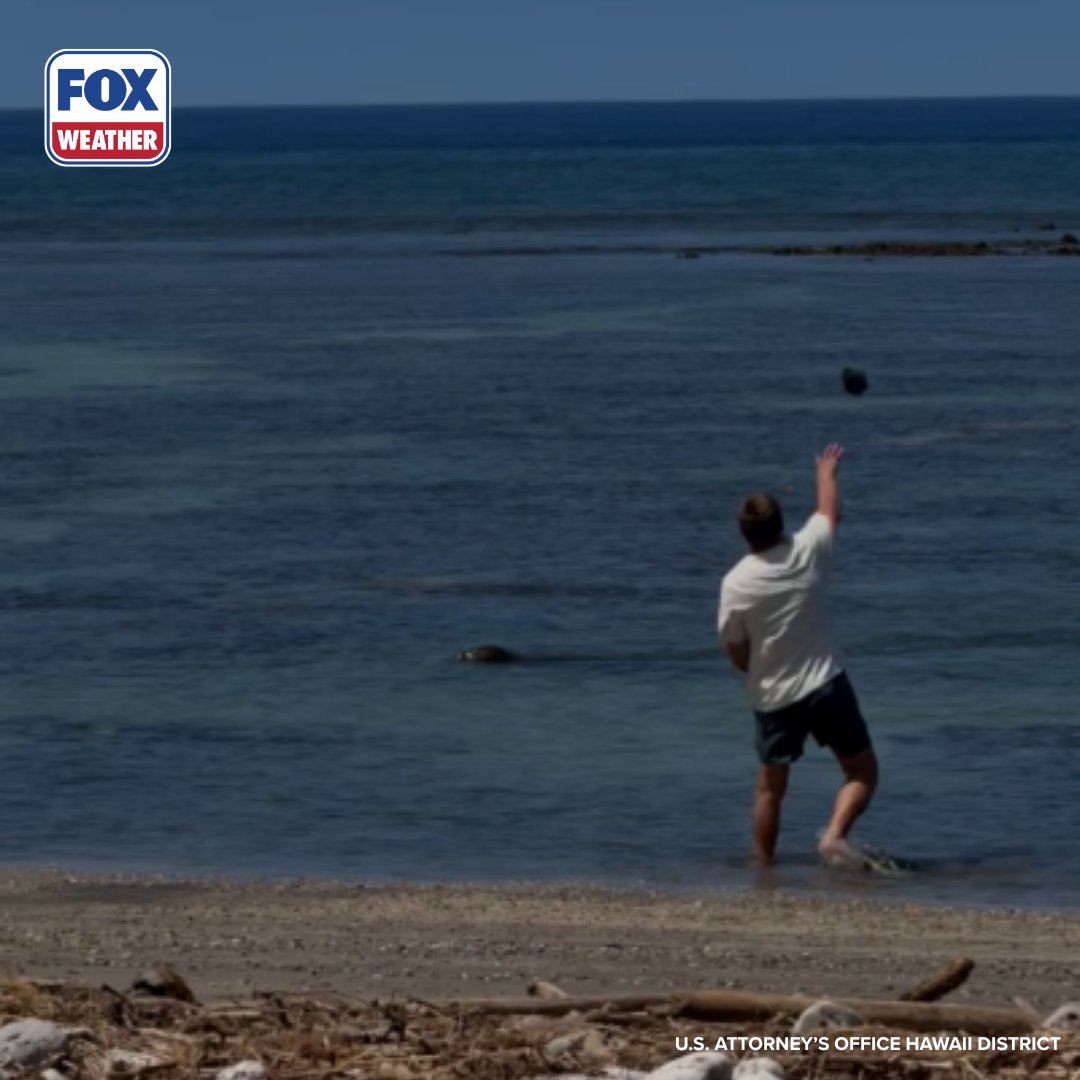 FOX Weather tweet media