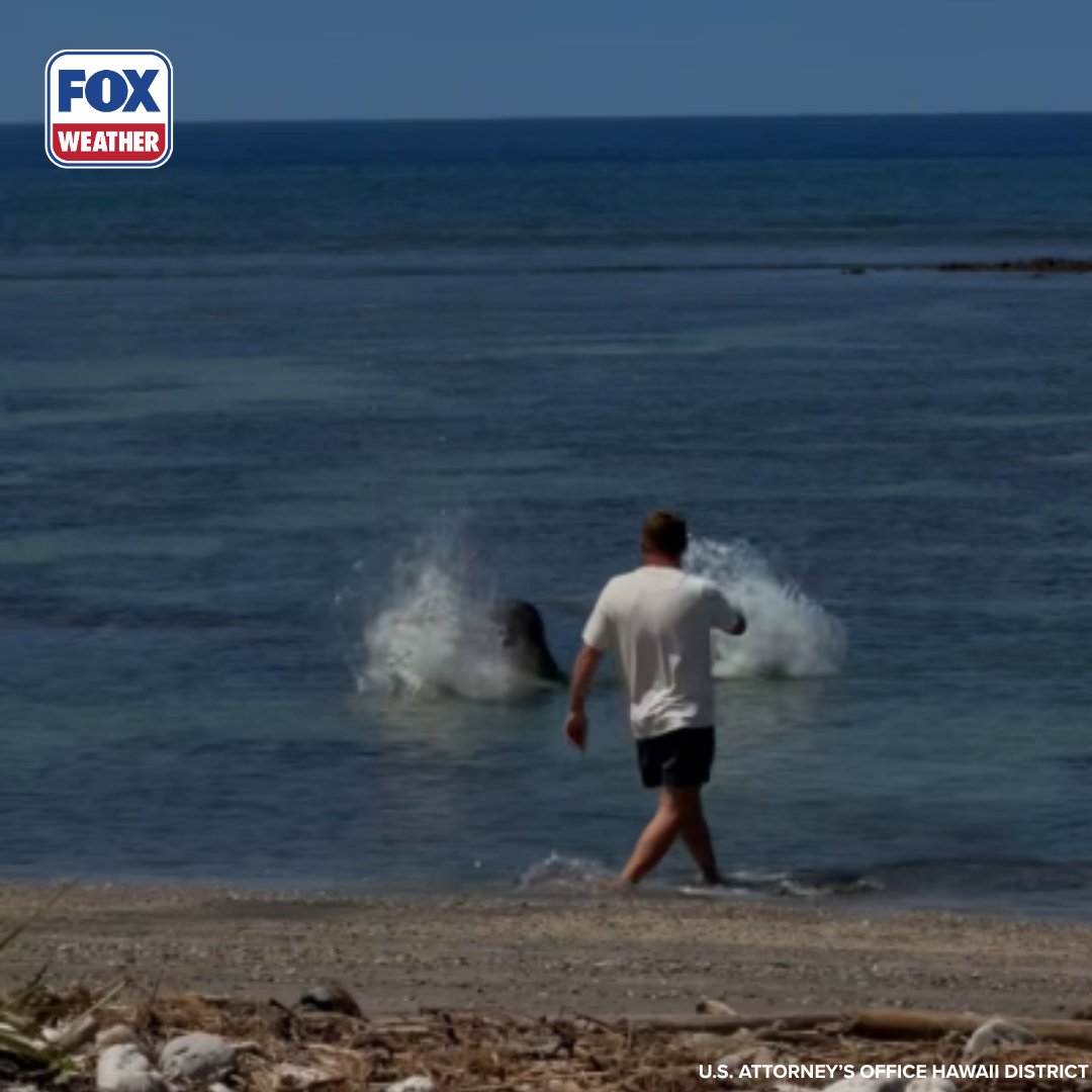 FOX Weather tweet media