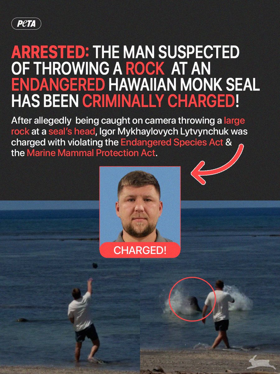 PETA tweet media