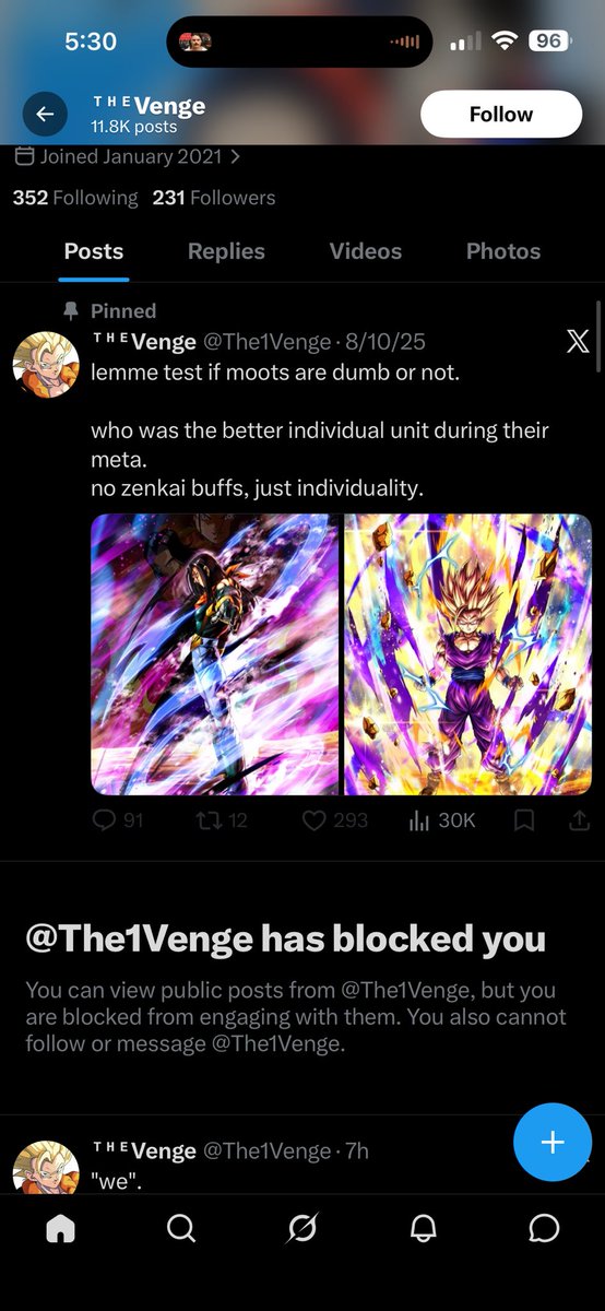 IgnisDivinus tweet media
