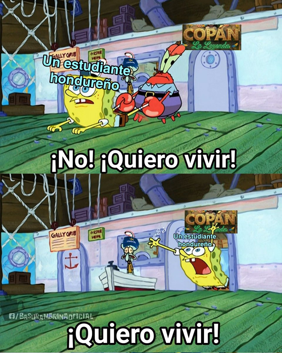 Una hormiga que mira tu post 🐜 tweet media