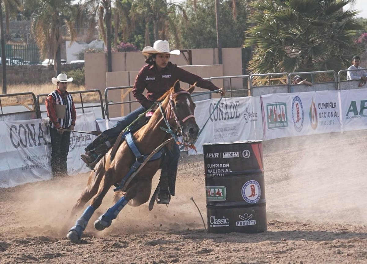 maxcortespress's tweet photo. Con Samantha Vargas, Colima está en la final de rodeo de la Olimpiada Nacional Conade 2026

🔗 Entra a la nota completa aquí:https://t.co/MfCqgetUoA

#Incode #Deporte #Colima #Noticias #IndiraVizcaíno #MaxCortésPress https://t.co/fTValZAy9n