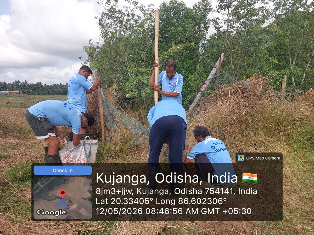 amareshnaresh's tweet photo. plantation activities at Paradip three days back @DPradhanFC @MohanMOdisha @narendramodi @SampadSwainBJP @CMO_Odisha @PMOIndia @PMOIndia_RC @rashtrapatibhvn @GovernorOdisha @SamalManmohan7 @dfomangrovefdwl @CESOdisha1 @ushapadhee1996 @DfoKeonjhar @PCCFWL_Odisha @pccfodisha https://t.co/gz3Q08iPyJ