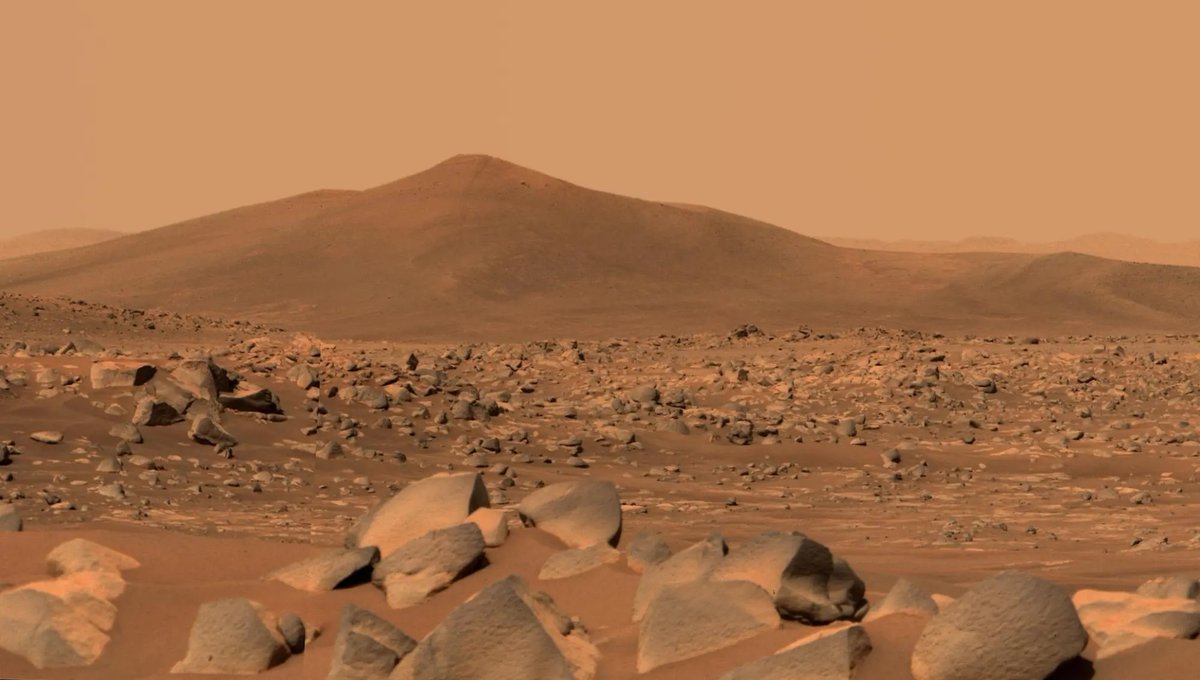 NASA Artemis tweet media