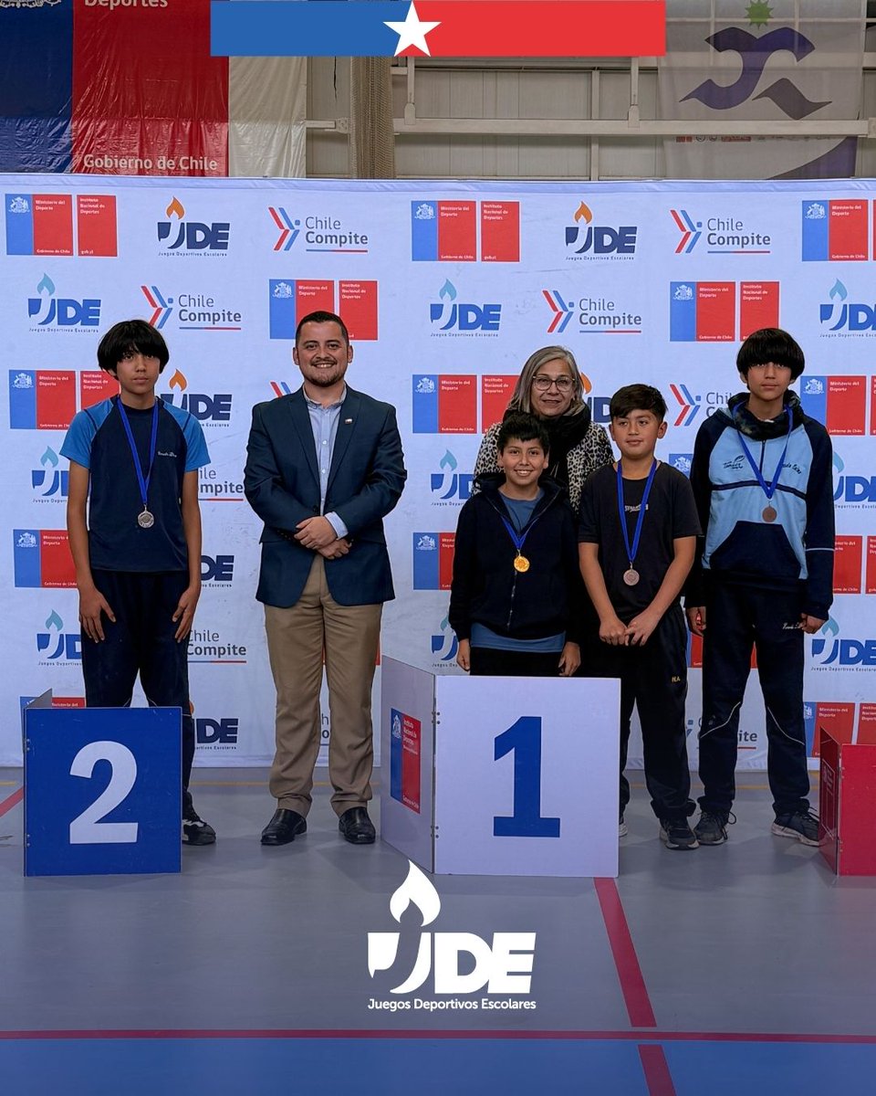 Mindep Araucanía tweet media
