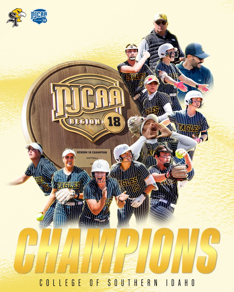 CSI Softball tweet media