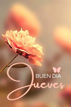 JOSE ✨🎶🎵💫 tweet media