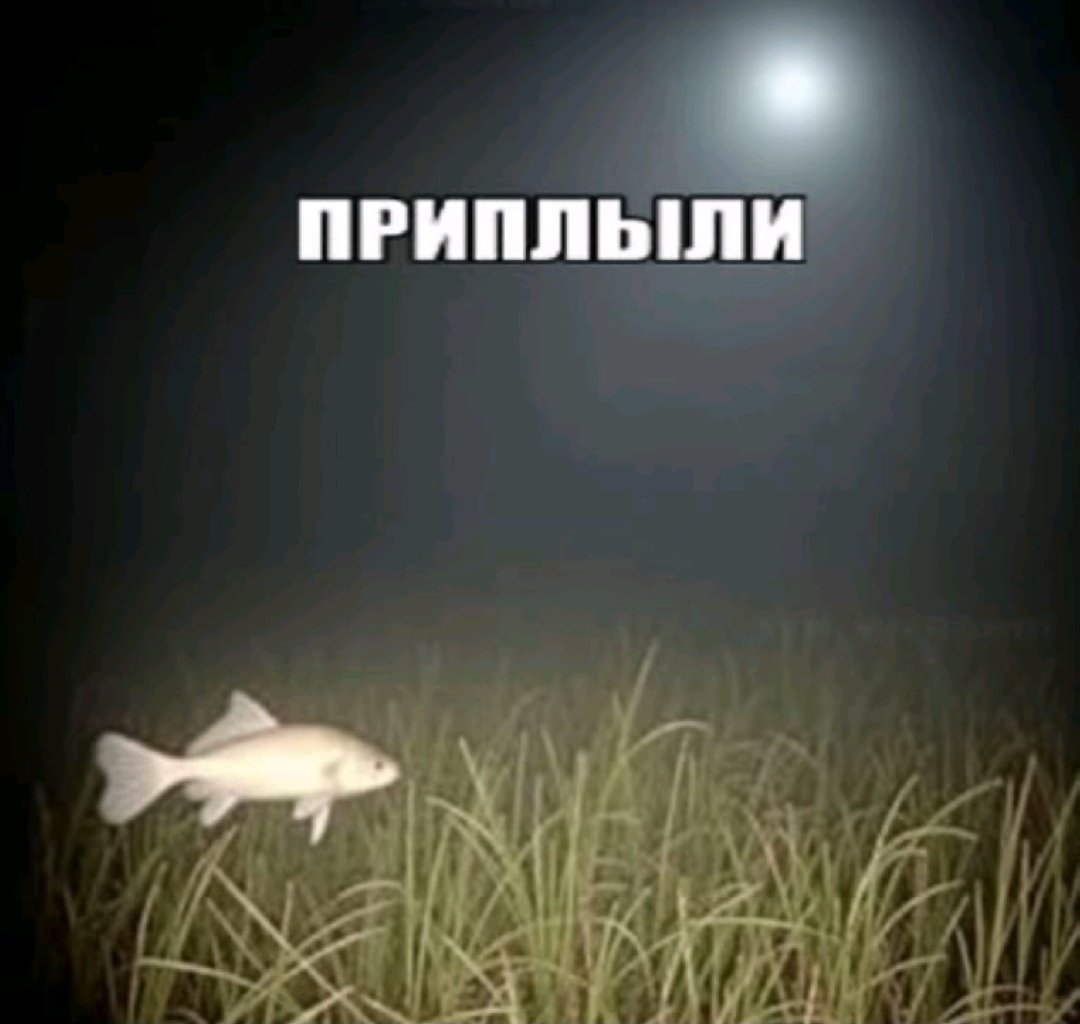 spinaweathera's tweet photo. @unhappytetsu ДАААА https://t.co/Mb1LN8JK4M