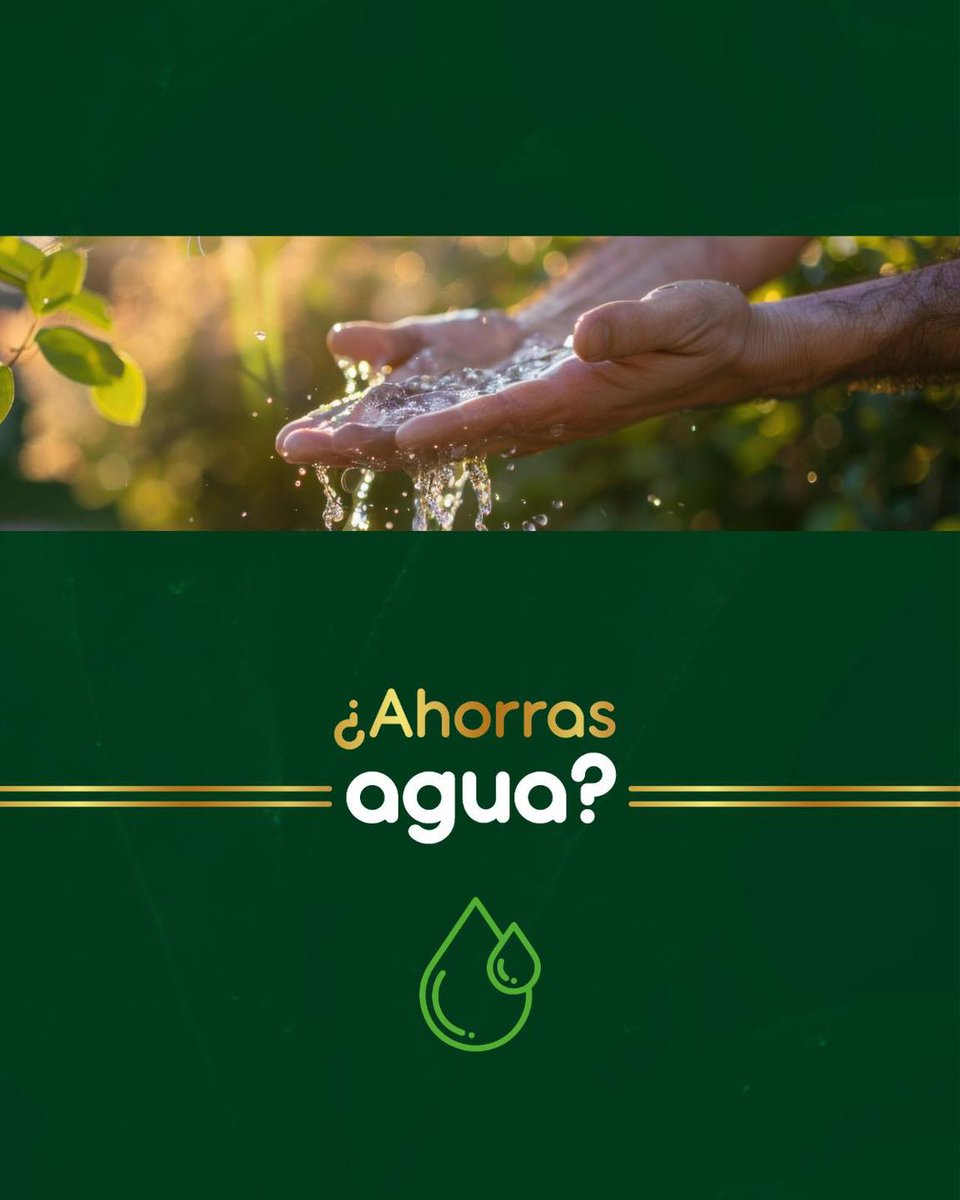 Corantioquia's tweet photo. #ConectadosPorLaVida | La octava versión del Sello de Sostenibilidad 2026 abre nuevamente sus puertas para reconocer a las organizaciones, empresas, comunidades y grupos étnicos que están transformando el territorio. 💚

Desde 2019 hasta 2025:
✅ Se han realizado más de 700 visitas de acompañamiento y evaluación.

🏆 Se han entregado 370 reconocimientos a iniciativas comprometidas con la sostenibilidad.