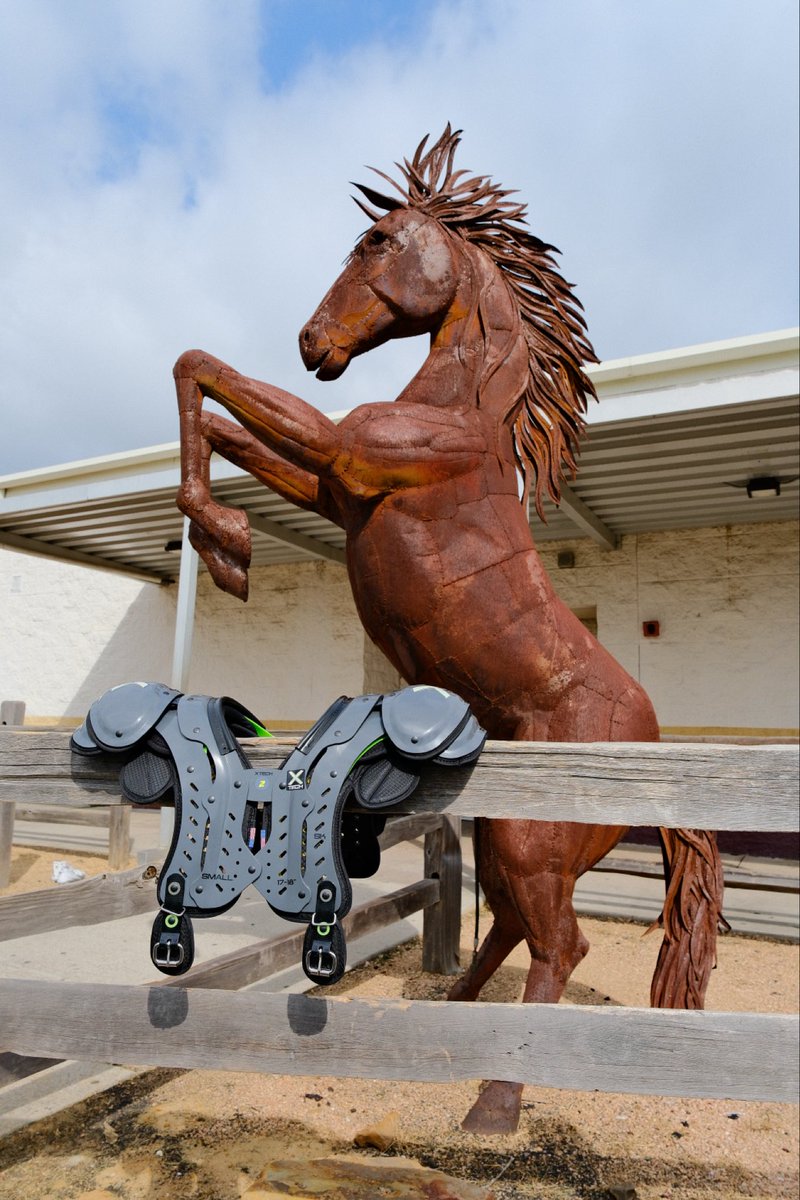 alexhuggz's tweet photo. Magnolia West team store is now live with XTech.

Grab your gear before the site closes at the end of May:

https://t.co/MGjEl3JU8i

DM with any questions.
@MagWestFootball https://t.co/3n8j0vawWc