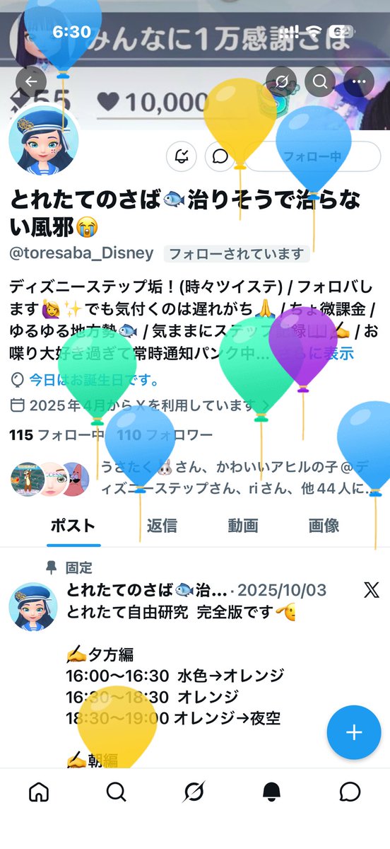 ひまゆ7(ルーちゃん)X低浮上 tweet media