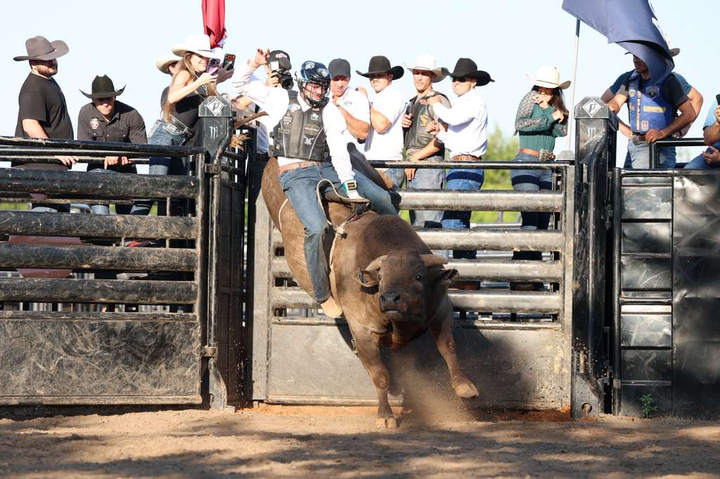 ego_brazil's tweet photo. Jon Vlogs realizou desafio de montaria durante cobertura da PBR World Finals ๐ซถ๐ป๐ง๐ท๐
https://t.co/EgZhOVjV3G #AgroPlay #cowboybrasileiro #Dallas #DickiesArena #entretenimentodigital #esporte #FortWorth #HouseMouse #JonVlogs #JosรฉVitorLeme #Kick #live #montariaemtouros #PBRWorl... https://t.co/rMiCmYAG07
