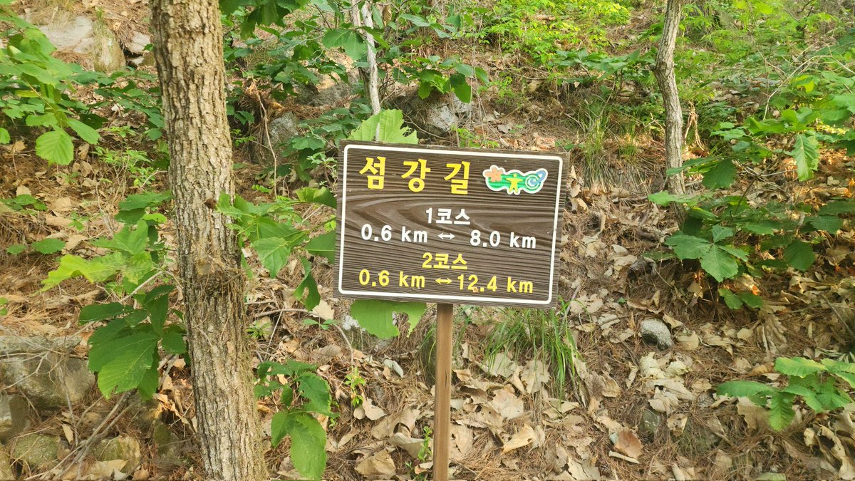 CD시디은비 tweet media