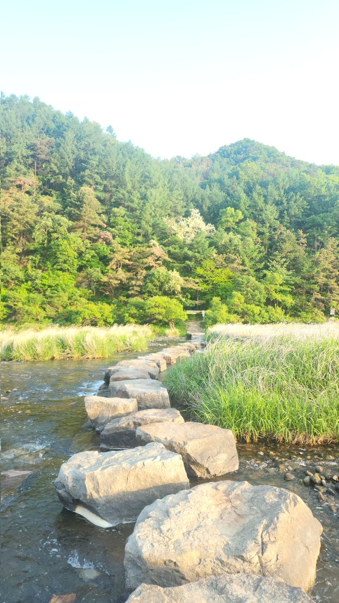 CD시디은비 tweet media