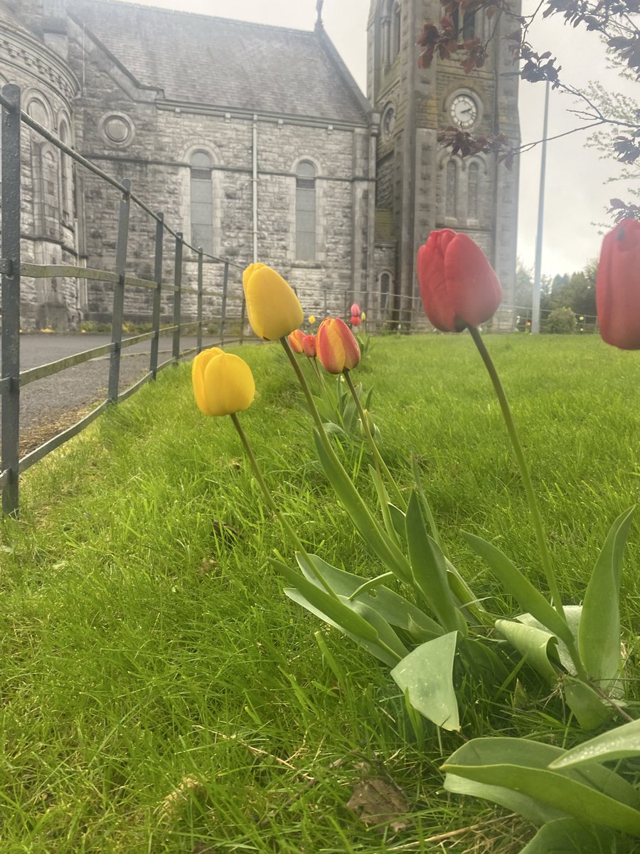 frpaddybyrne's tweet photo. God, grant me the serenity
to accept the things I cannot change
the courage to change the things I can
and the wisdom to know the difference. https://t.co/Gp5lhXaf5V