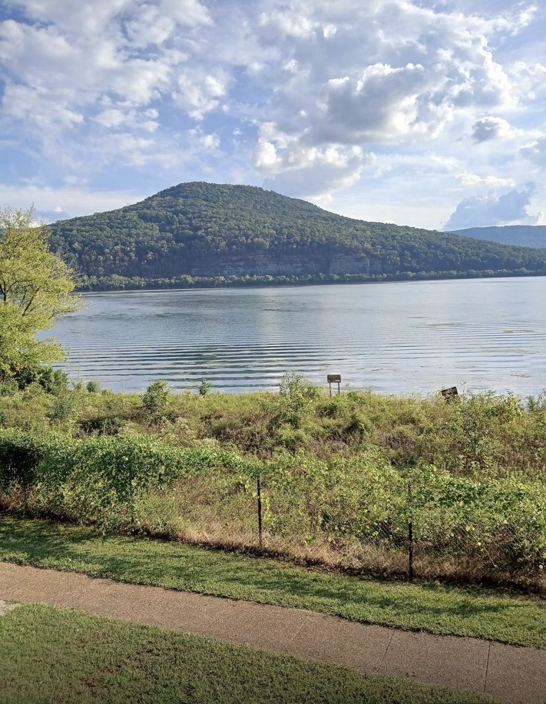 joandelantar12's tweet photo. I've never seen such a rest Area and the view is heaven!💋🥰😍😘 https://t.co/scGLbqKZF7